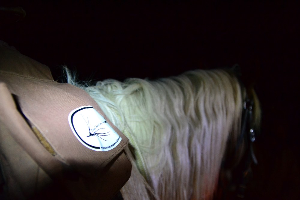 Who said you can only put our B.C.I decals on rigs, horses like them to.