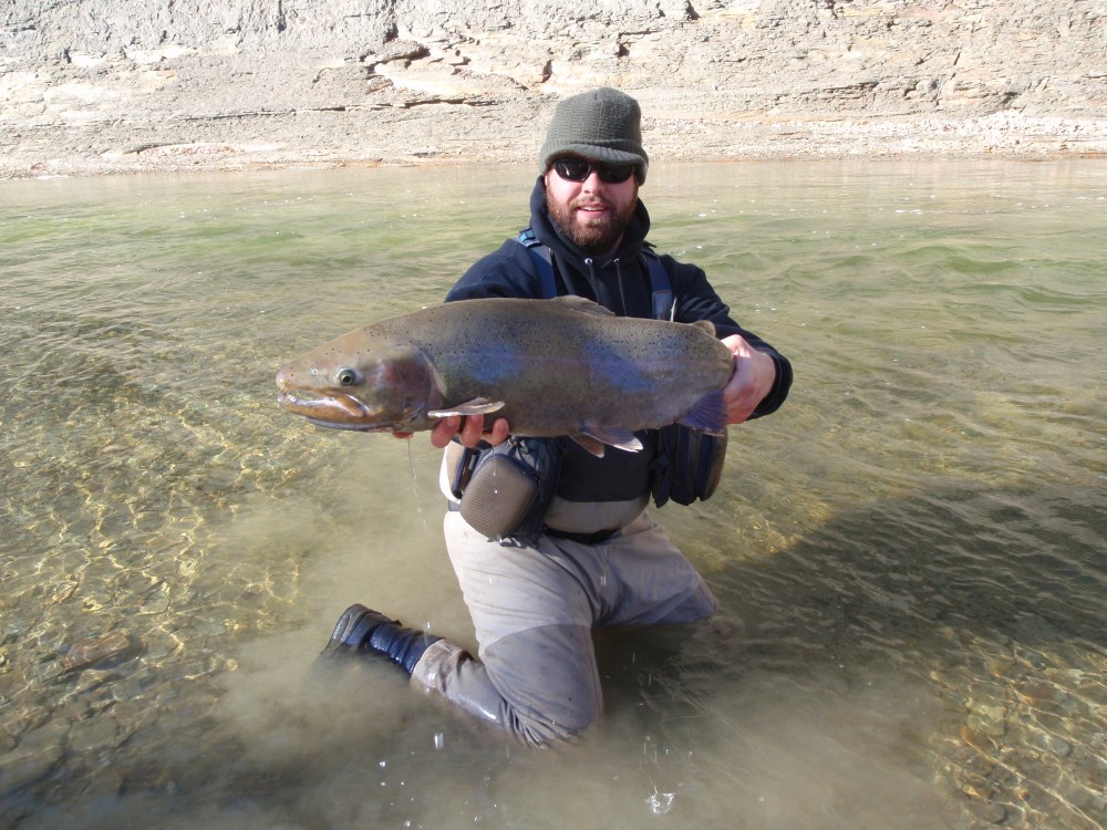 That's big steel for you.