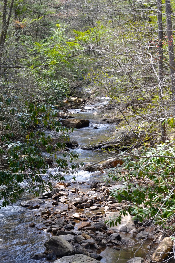 North Branch pool 009