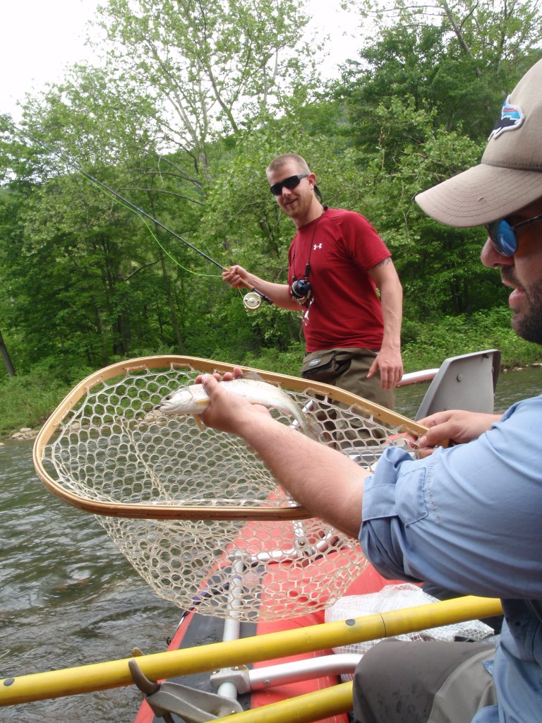 Steve-O new second profession