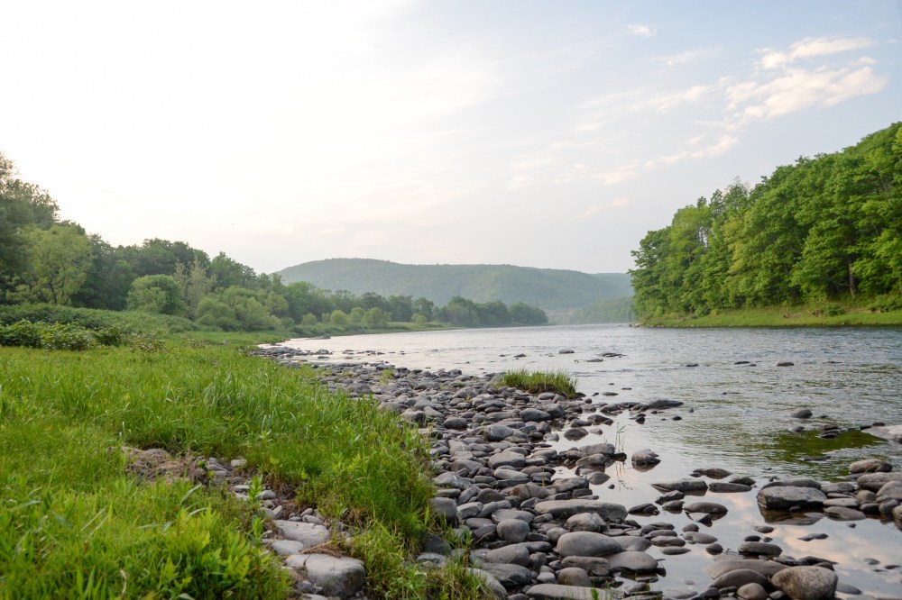 Eagle and Lightening-12